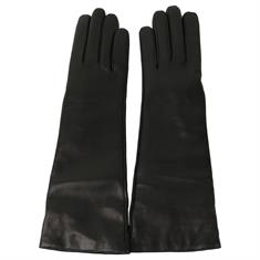 MARIO PORTOLANO handschoenen 6bts