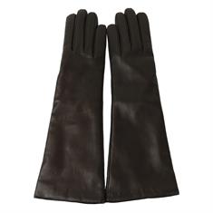 MARIO PORTOLANO handschoenen 6bts