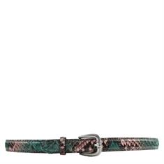 REPTILES HOUSE riemen fr25p45006