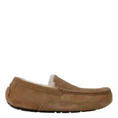 UGG instappers m ascot