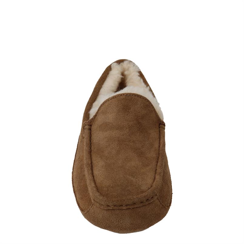UGG instappers m ascot